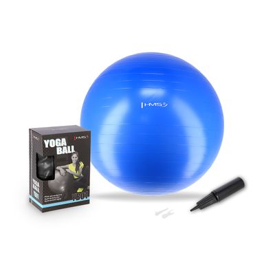 Minge gimnastica d=55 cm HMS cu pompa BLUE YB01