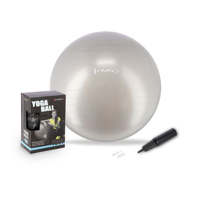 Minge gimnastica d=65 cm HMS cu pompa GRAY YB01