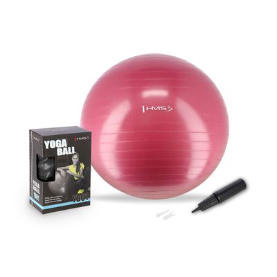 Minge gimnastica d=65 cm HMS cu pompa PLUM YB01