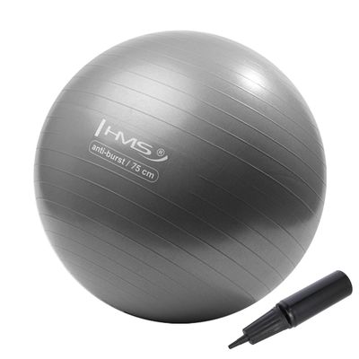Minge gimnastica d=75 cm HMS cu pompa GRAY YB02