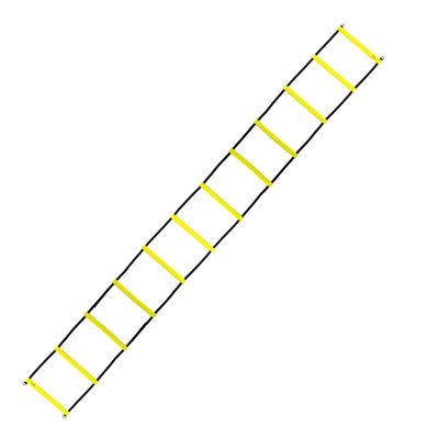 Scara antrenament 6 m HMS PREMIUM DK06